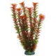 Растение аквариумное Aquatic Plants 19 см 